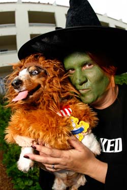 Pet Masquerade and Parade 2008 photo - Duval Street, Key West